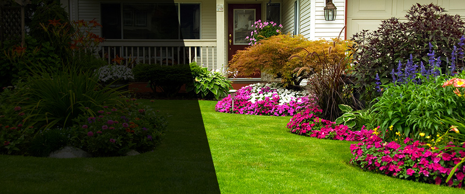 Keaau Landscapers