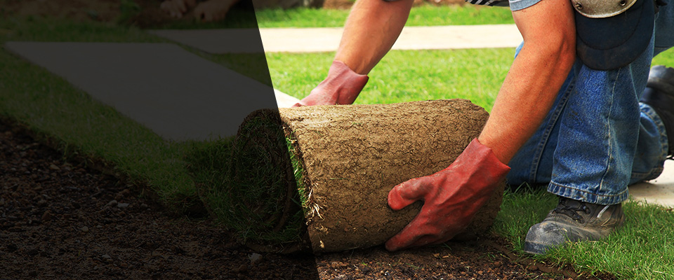 Keaau Landscapers
